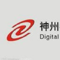 Digital China Info Svc A Aktie