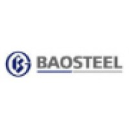 Baoshan Iron & Steel A Aktie