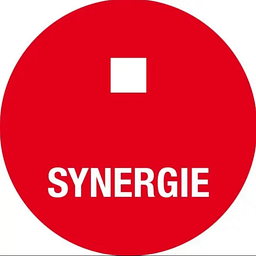 Synergie SE Aktie