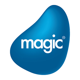 Magic Software Enterpr Hisse senedi