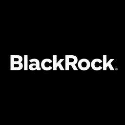 BlackRock Stock