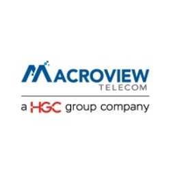 MacroView Investment Management LLC