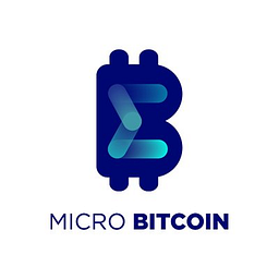 MicroBitcoin Stock